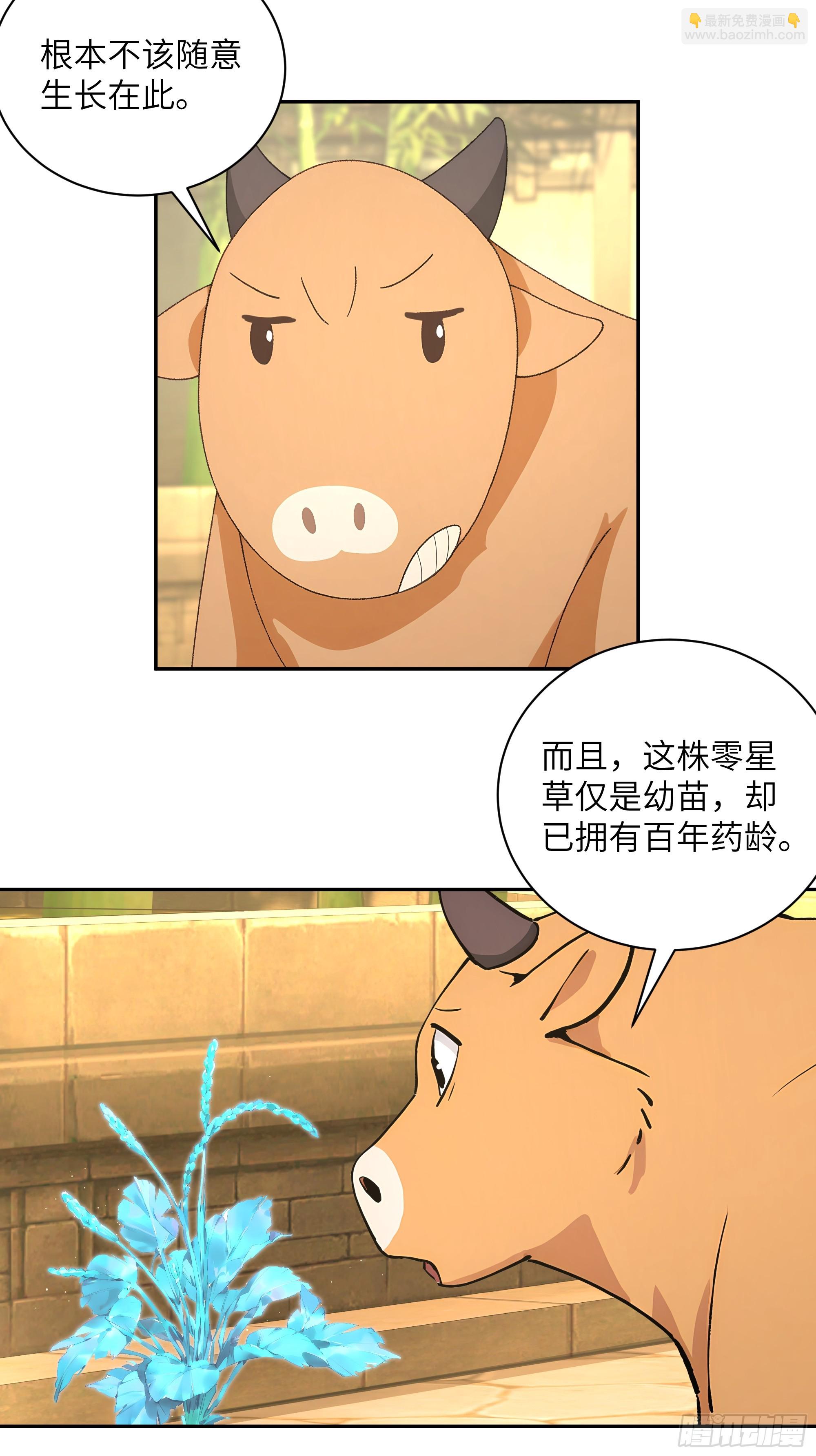 52 零星草(1/2)-第52话