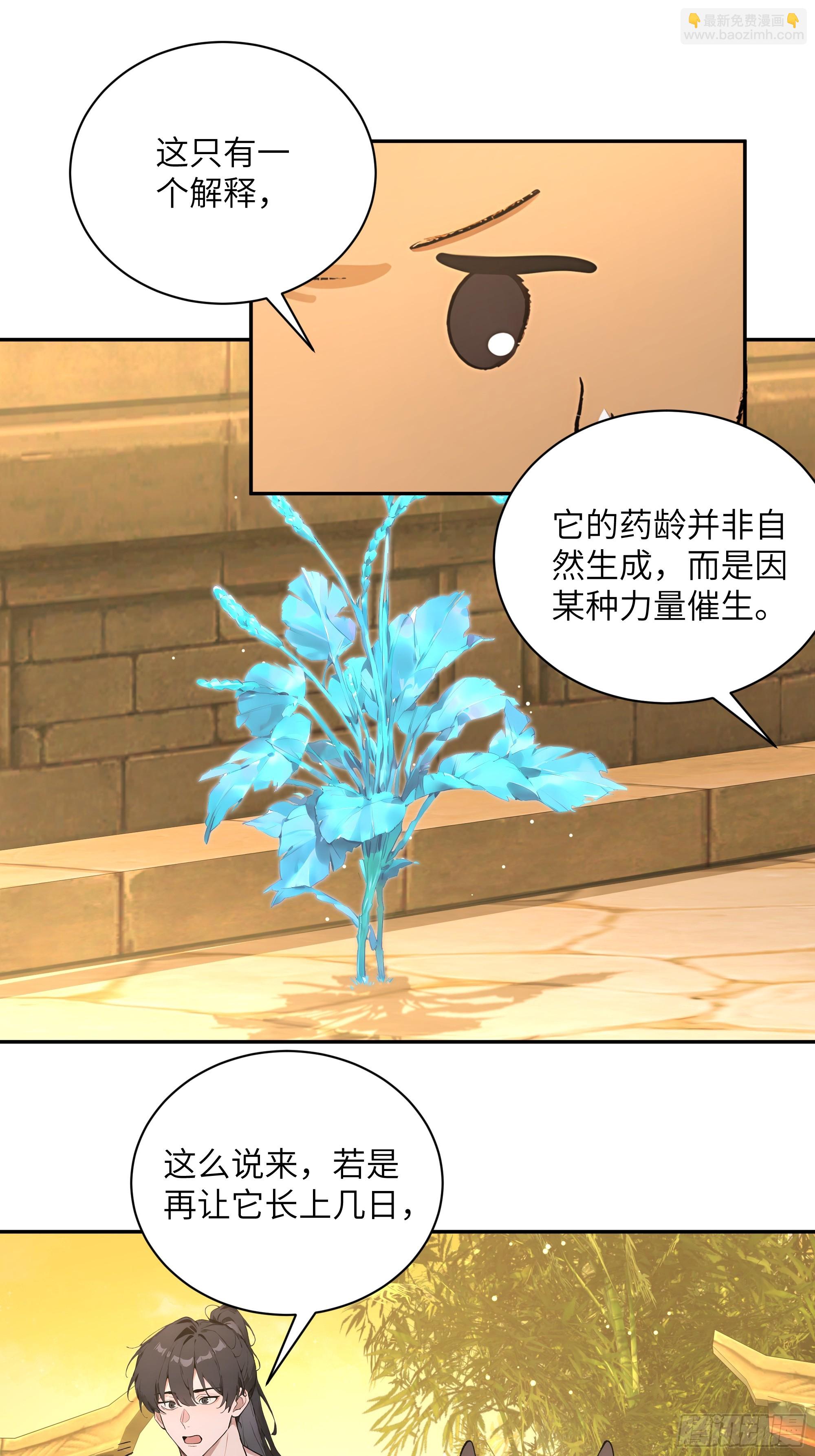 52 零星草(1/2)-第52话