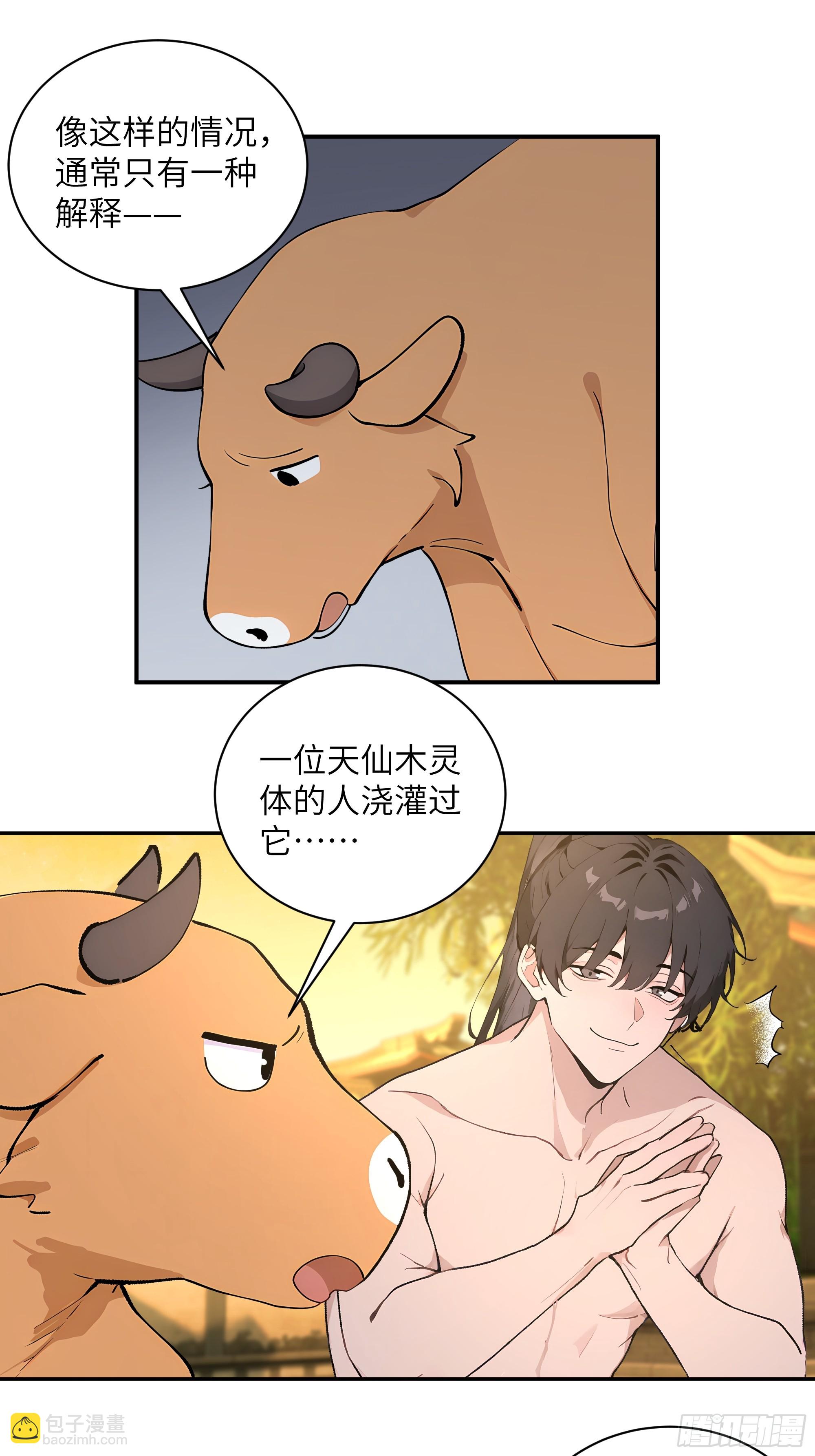 52 零星草(1/2)-第52话