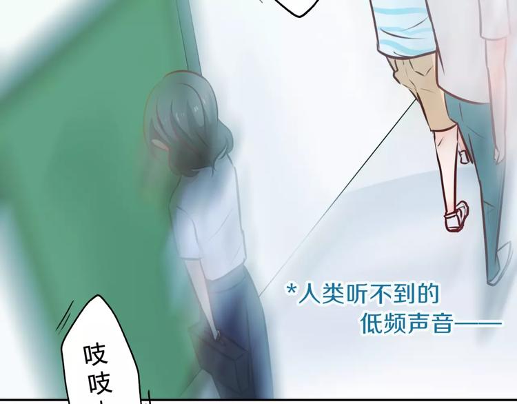 第5话 得到贵人相助(1/2)-第6话