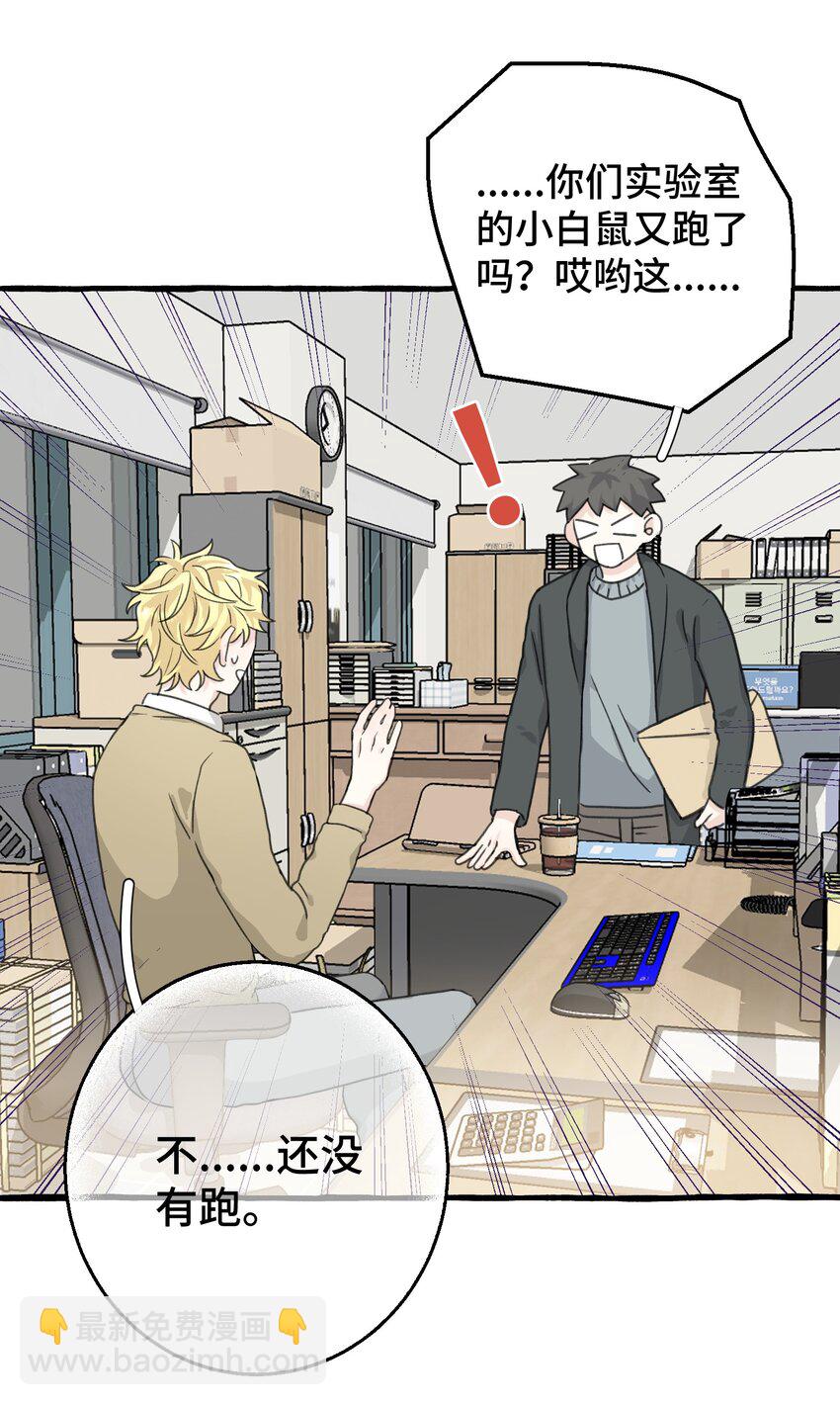 005 狗皮膏药？！(1/2)-第6话