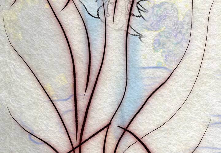 #33 木槿.叁【暮落朝开】(1/2)-第38话