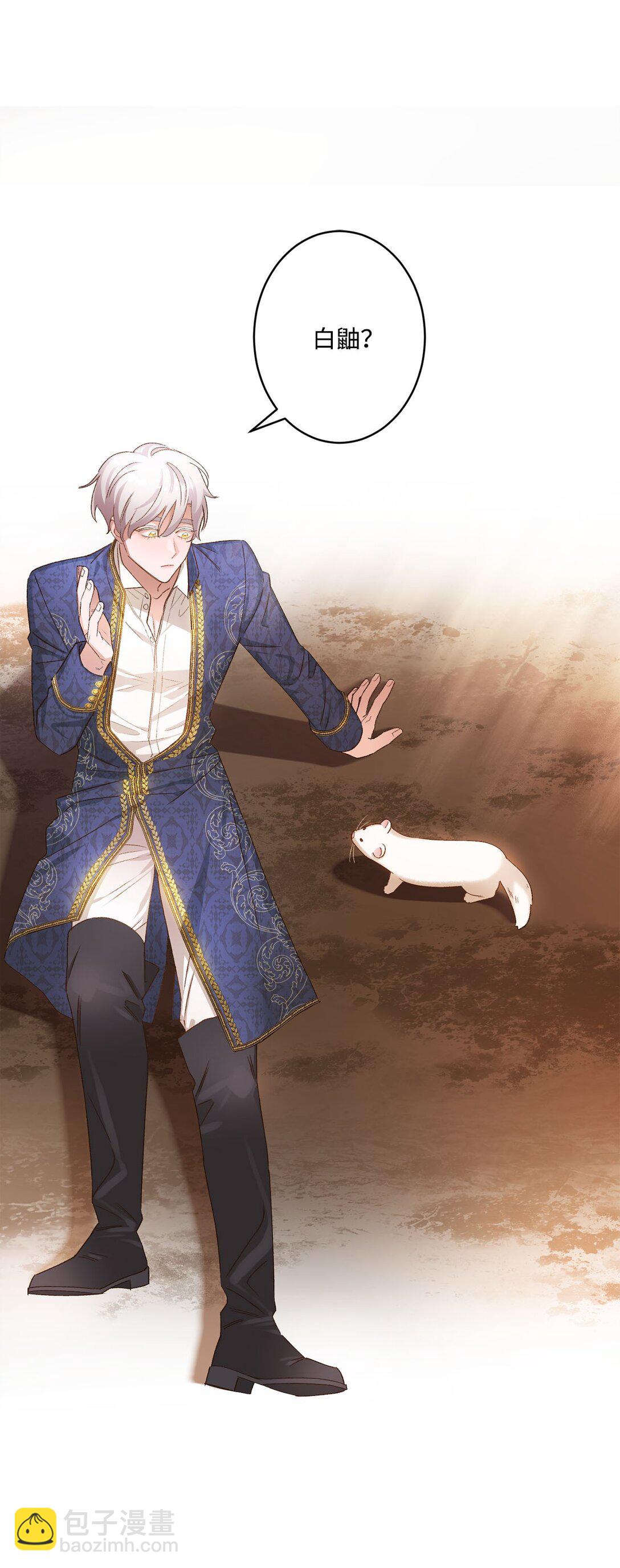 04 会说话的白鼬(1/2)-第4话