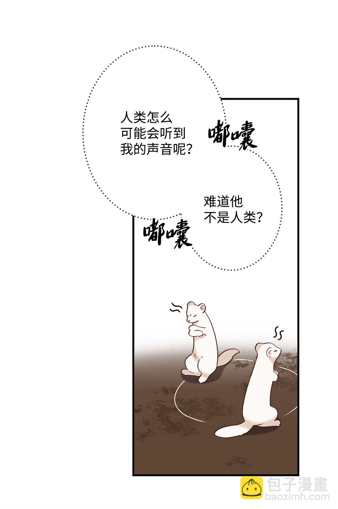 04 会说话的白鼬(1/2)-第4话