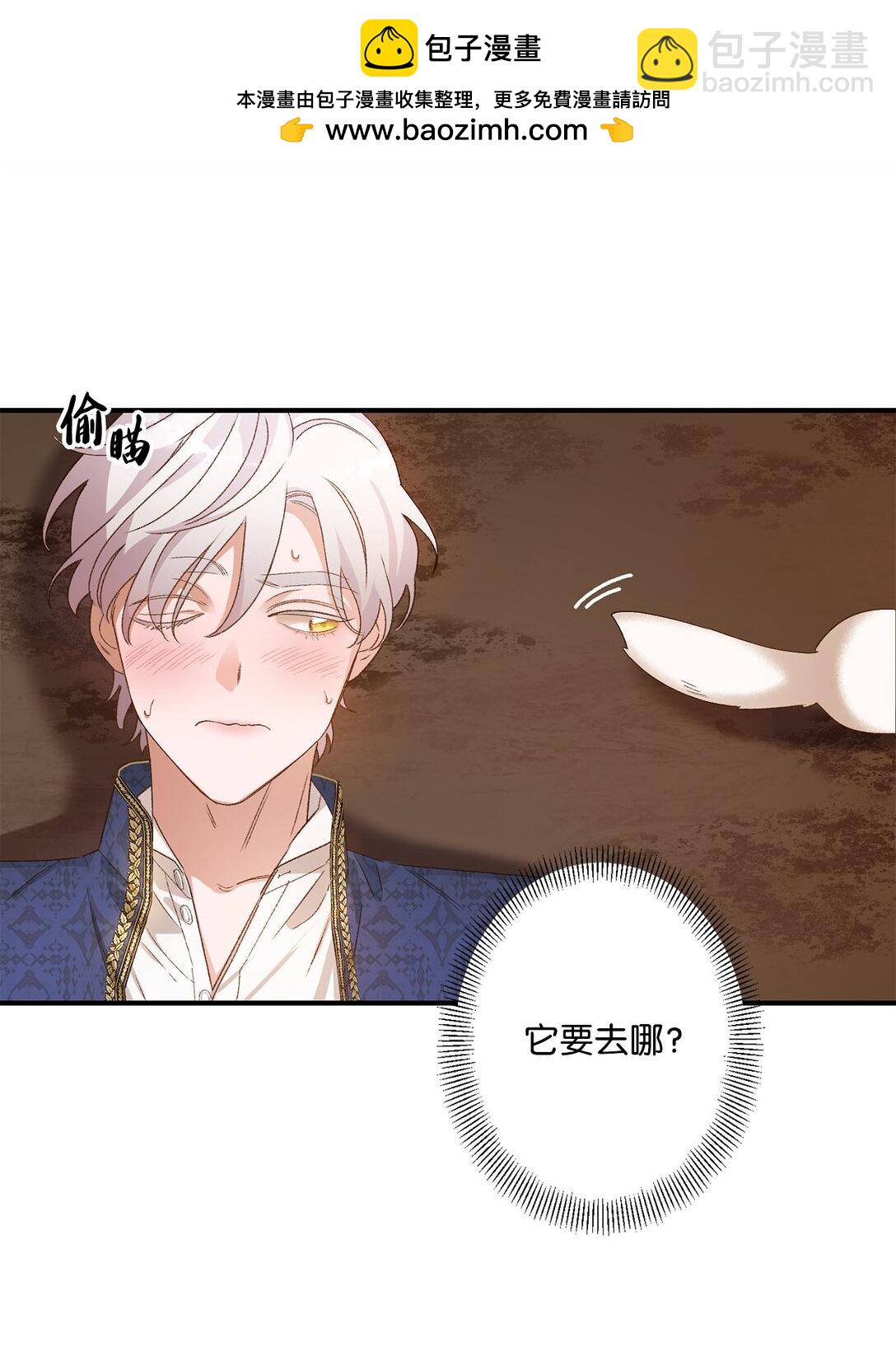 04 会说话的白鼬(1/2)-第4话