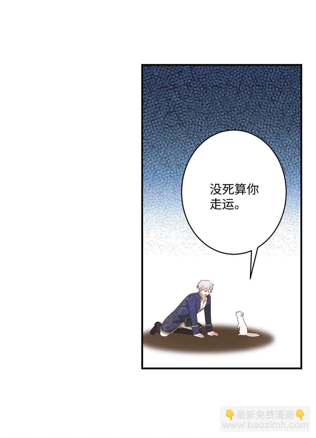 04 会说话的白鼬(1/2)-第4话