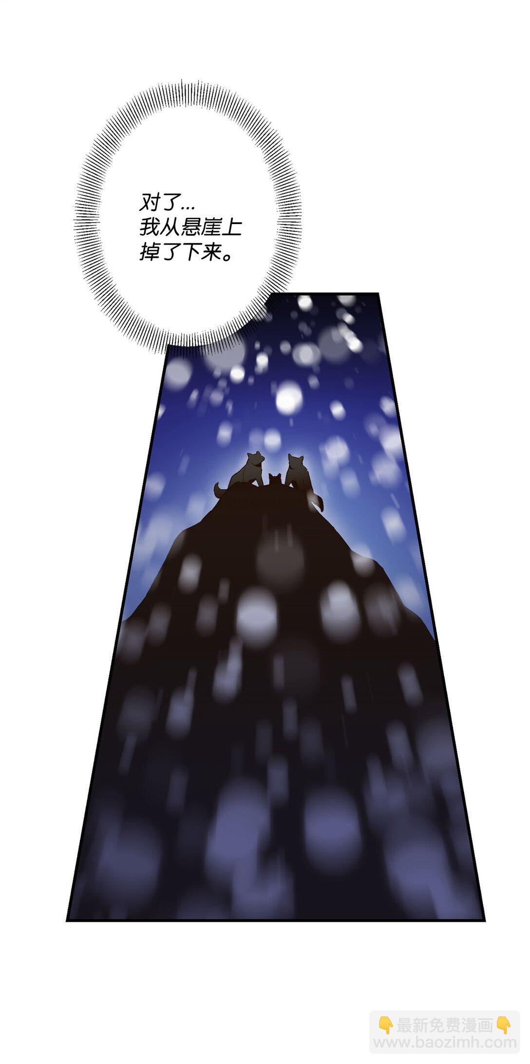 04 会说话的白鼬(1/2)-第4话