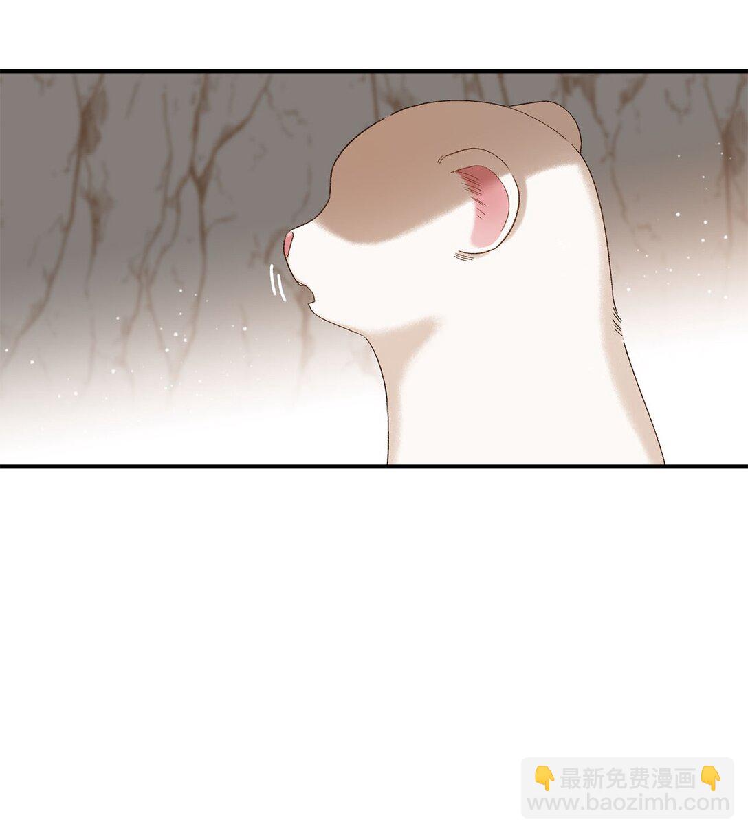 04 会说话的白鼬(1/2)-第4话