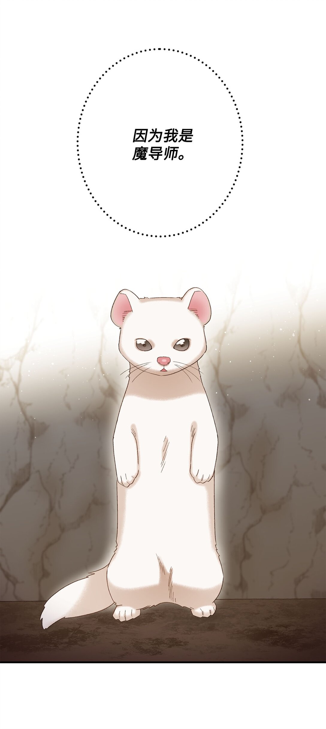 04 会说话的白鼬(1/2)-第4话