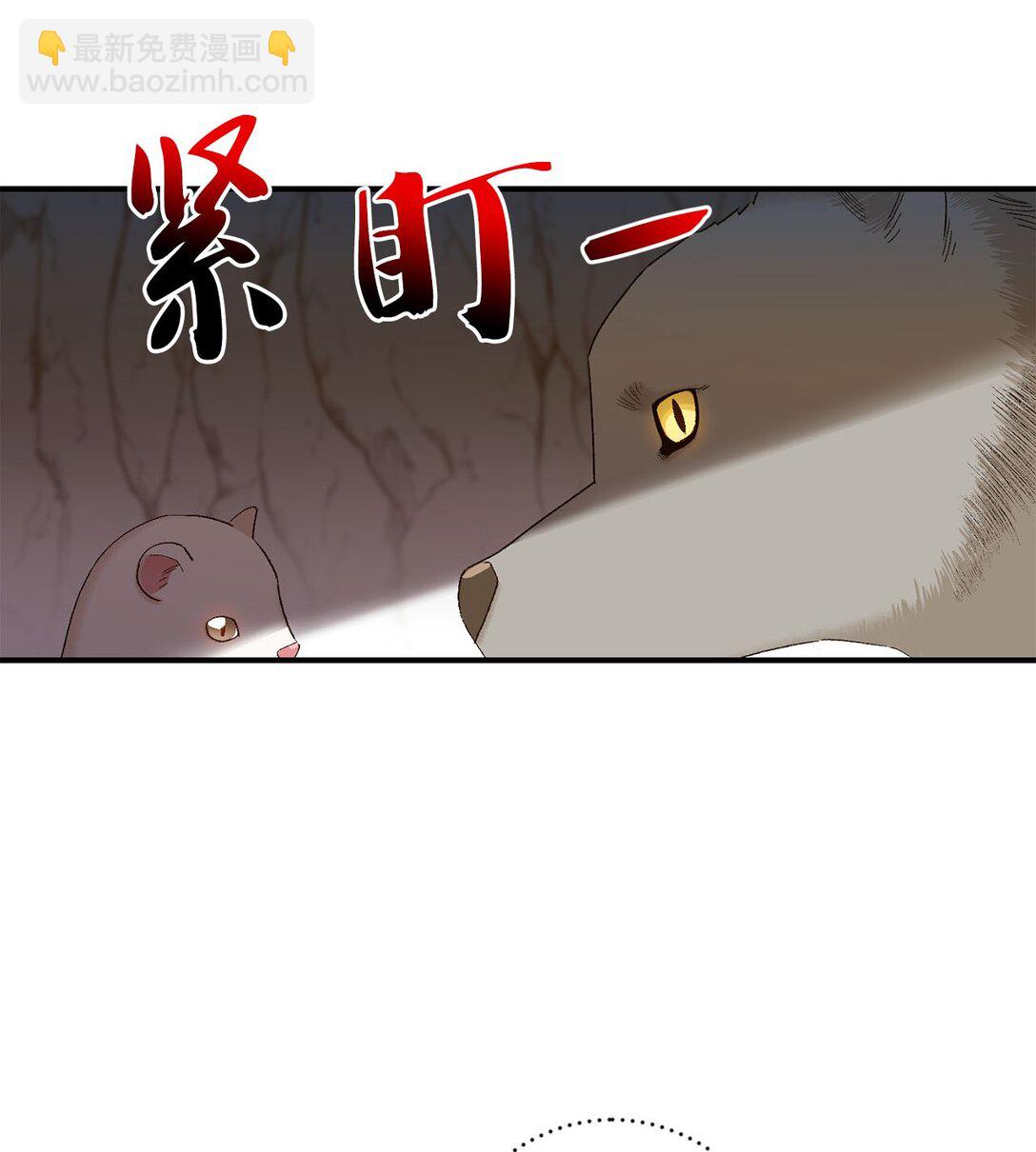 04 会说话的白鼬(1/2)-第4话