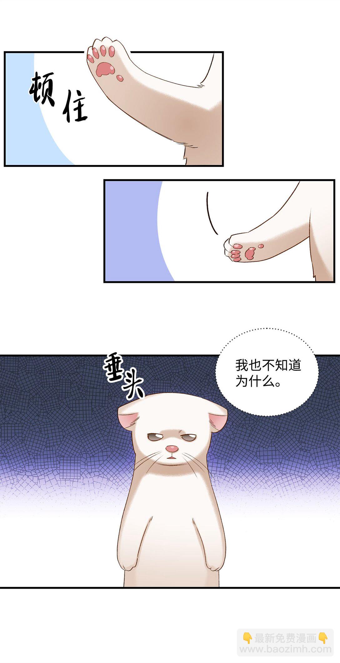 06 寻找食物(1/2)-第6话