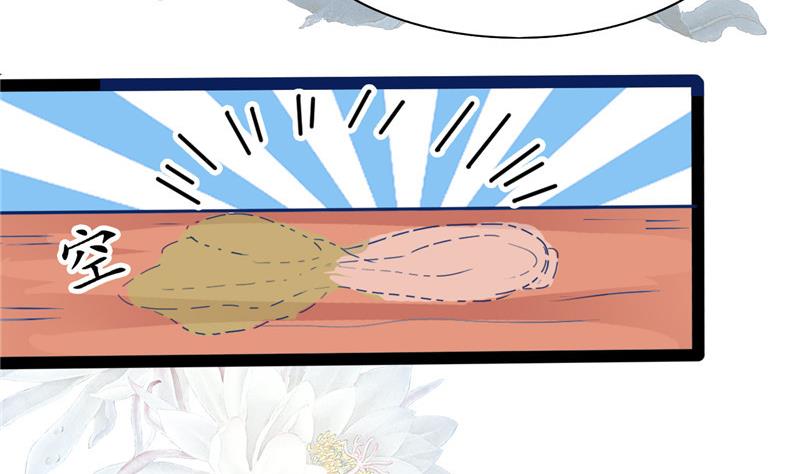 第2话 抓贼啊(1/2)-第2话