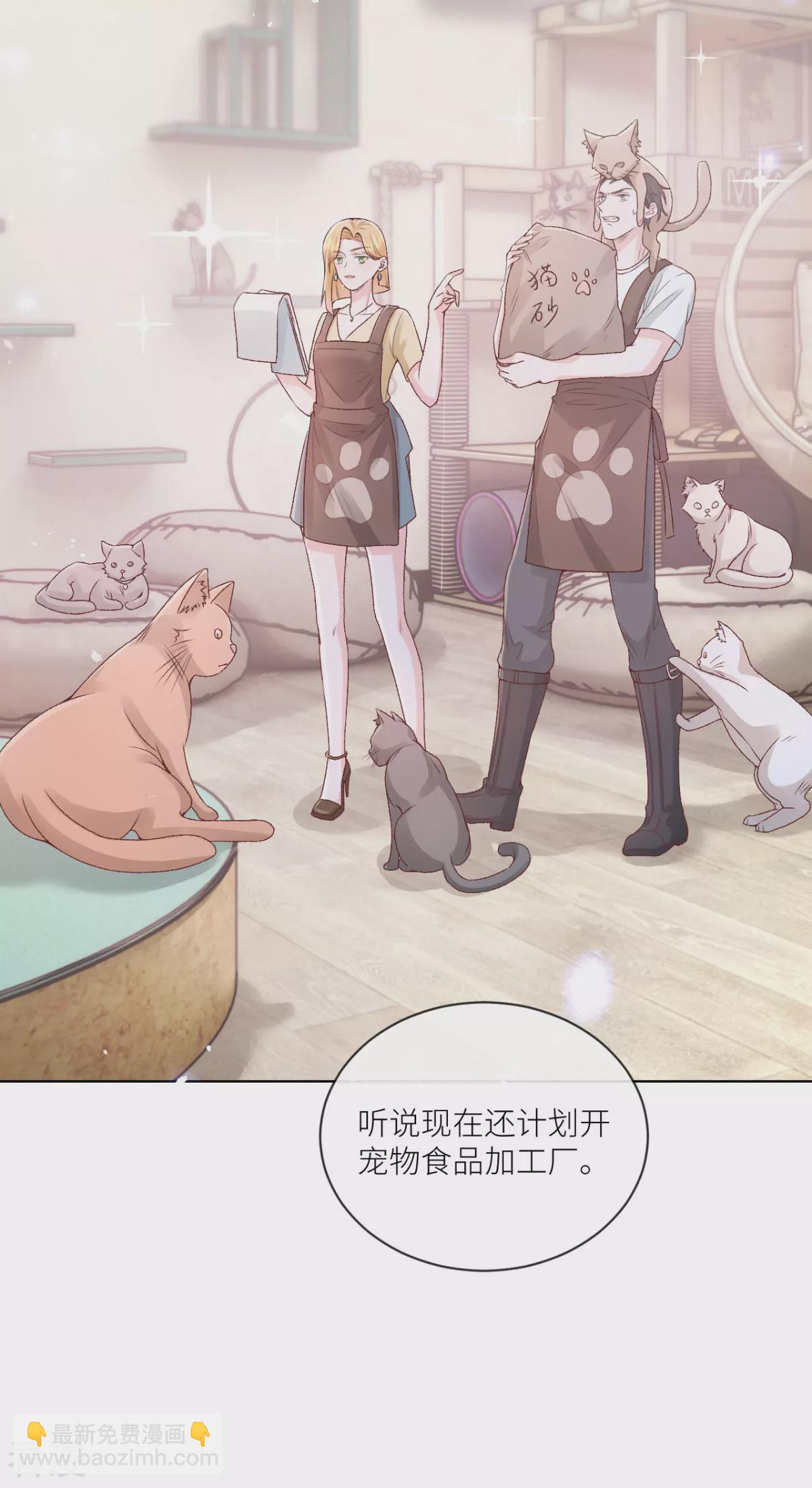 最终话 大结局(1/2)-第52话