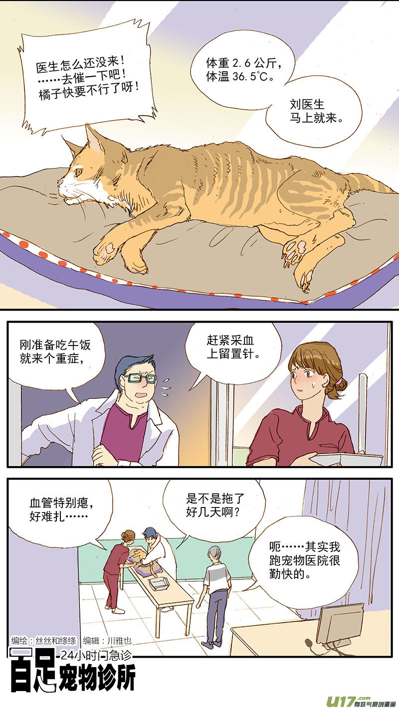 108 猫的肾病-第108话