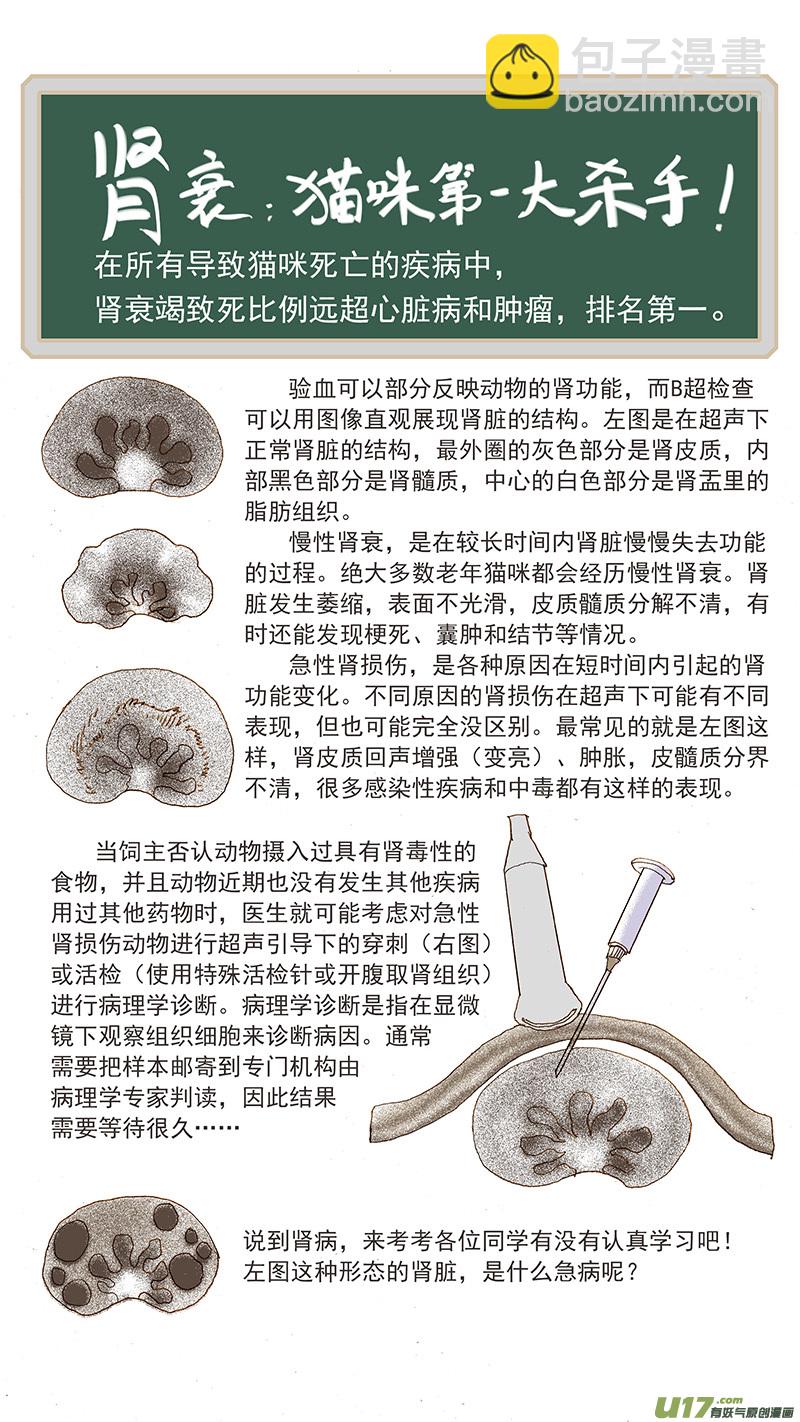 百足寵物診所 - 108 貓的腎病 - 3