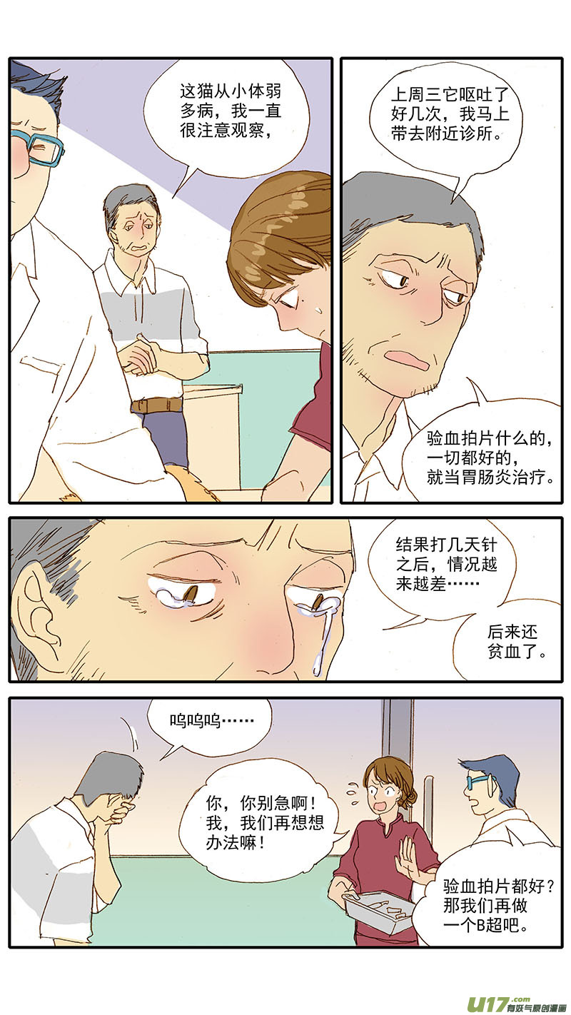 108 猫的肾病-第108话