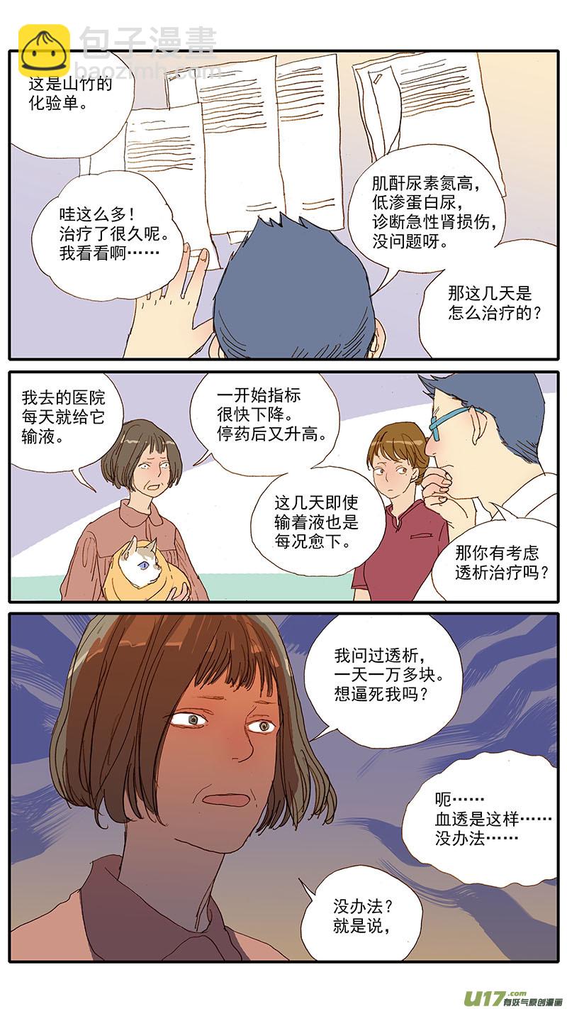 108 猫的肾病-第108话