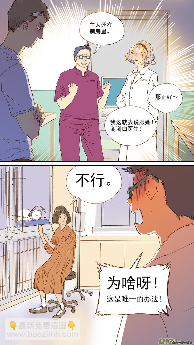 108 猫的肾病-第108话