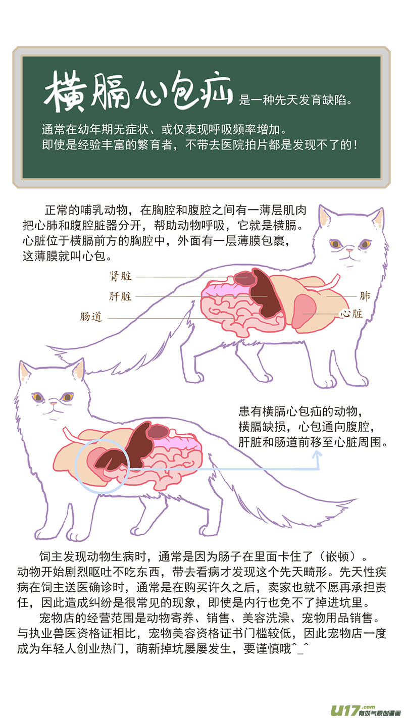 百足寵物診所 - 110 橫膈心包疝 - 3