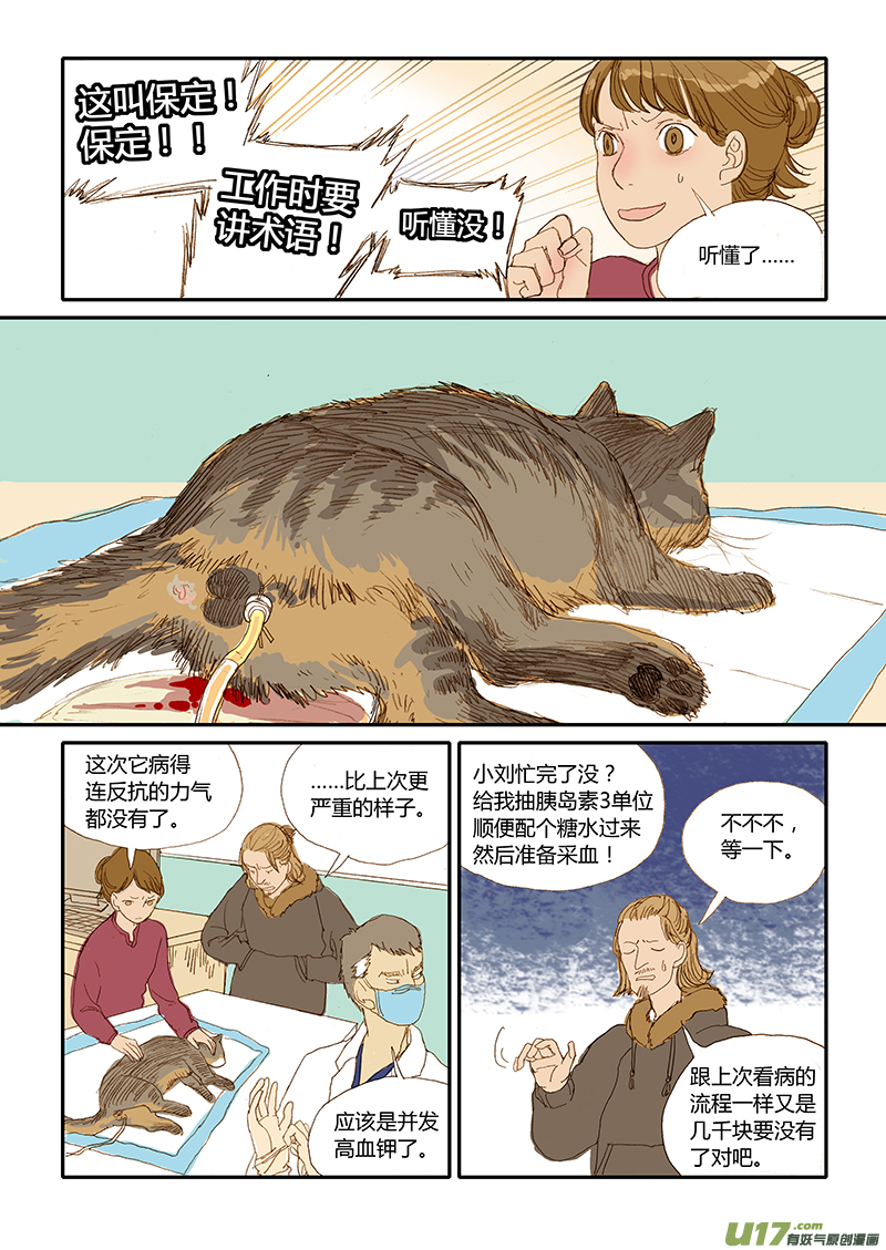 012 公猫尿道造口-第12话