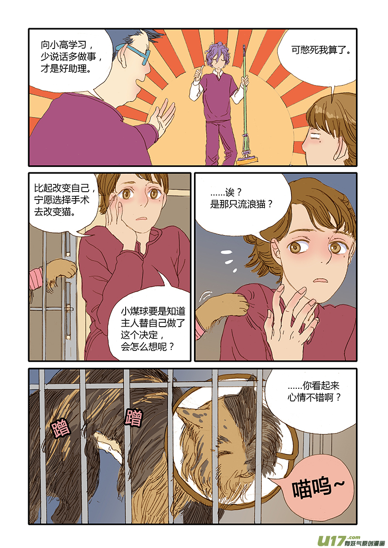 012 公猫尿道造口-第12话