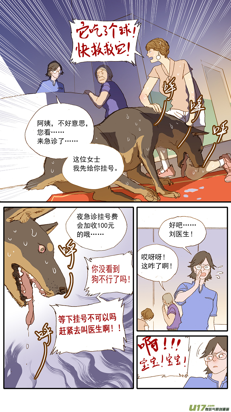 124 犬消化道异物（网球）-第124话