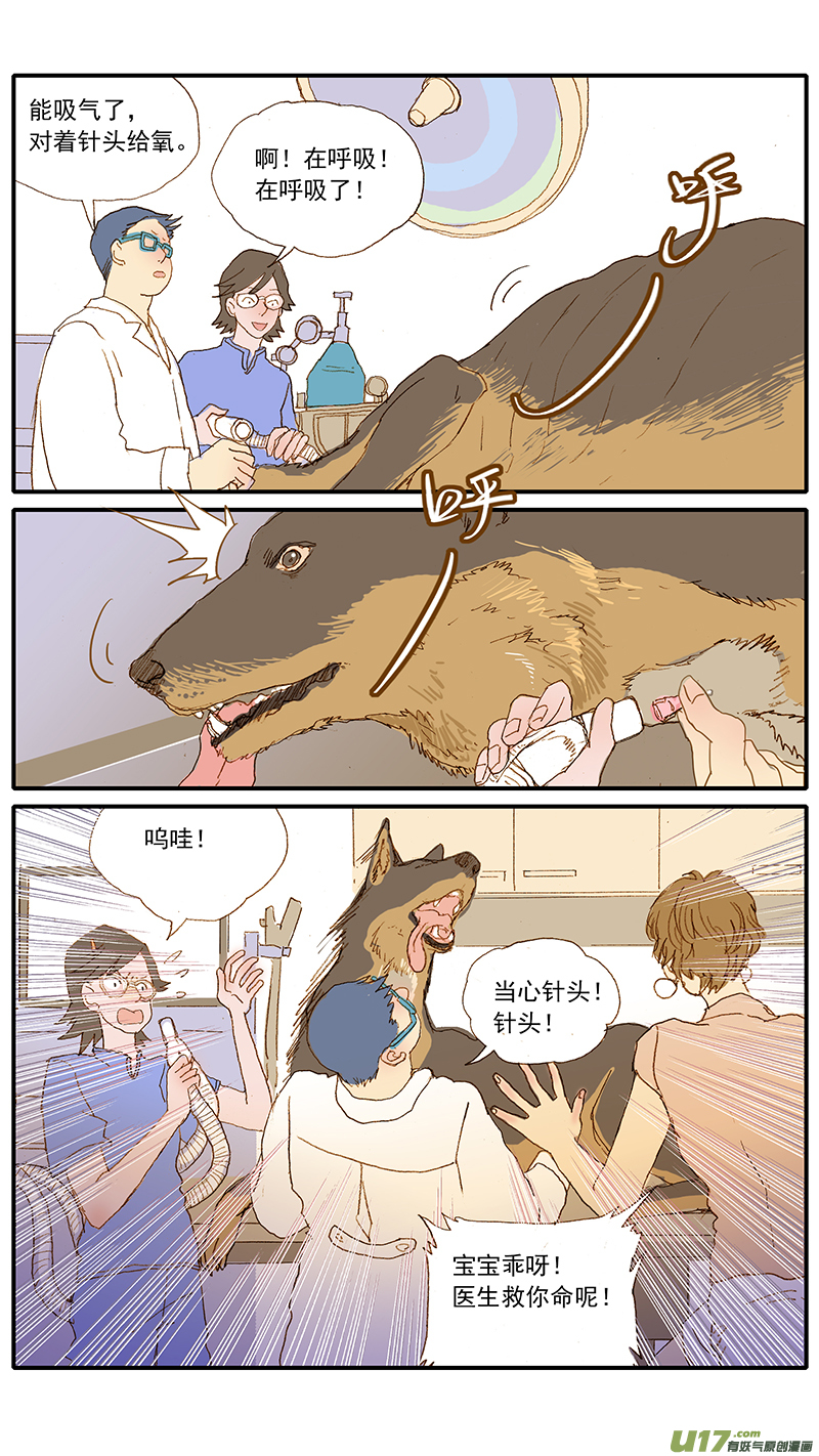 124 犬消化道异物（网球）-第124话