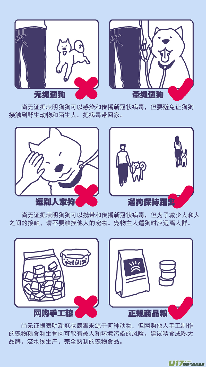 141.5 突发！新冠疫情期间养宠贴士-第142话