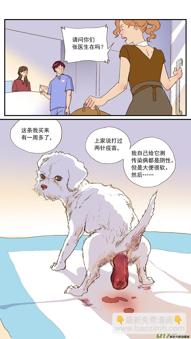 143 直肠脱-第144话