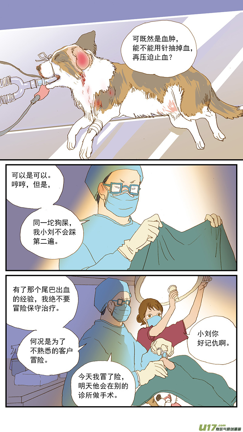 百足寵物診所 - 149 耳血腫 - 1