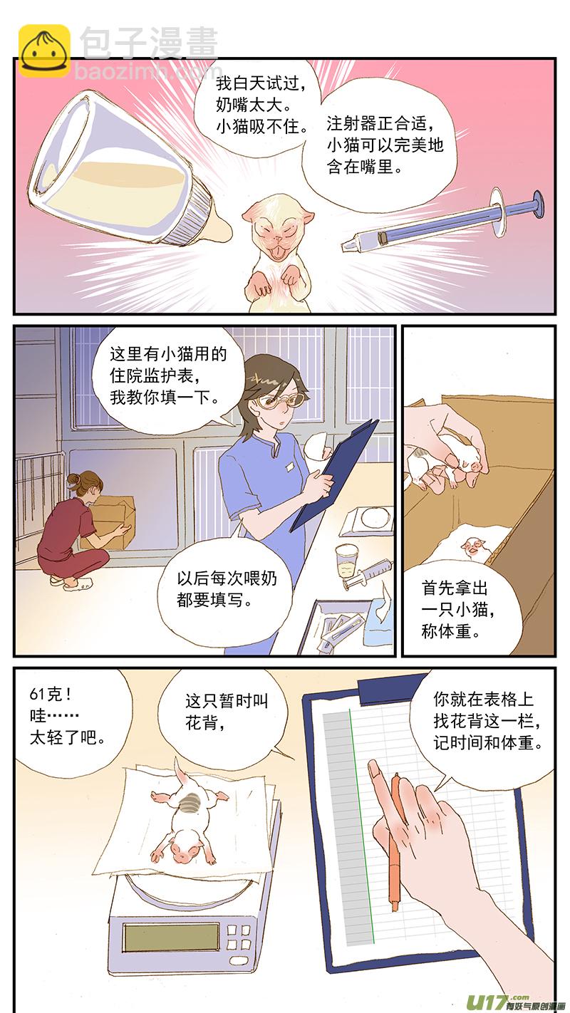 百足寵物診所 - 149 耳血腫 - 2