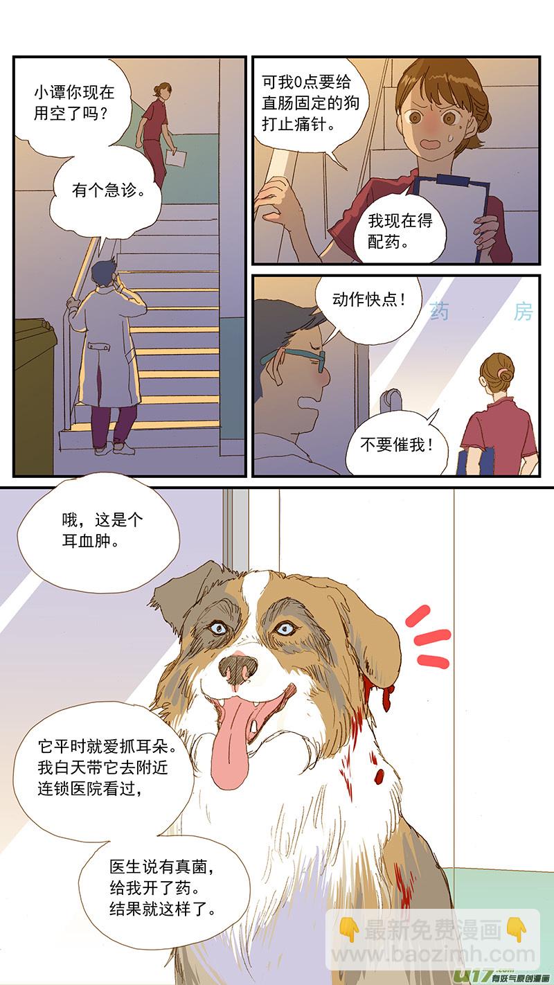 百足寵物診所 - 149 耳血腫 - 2