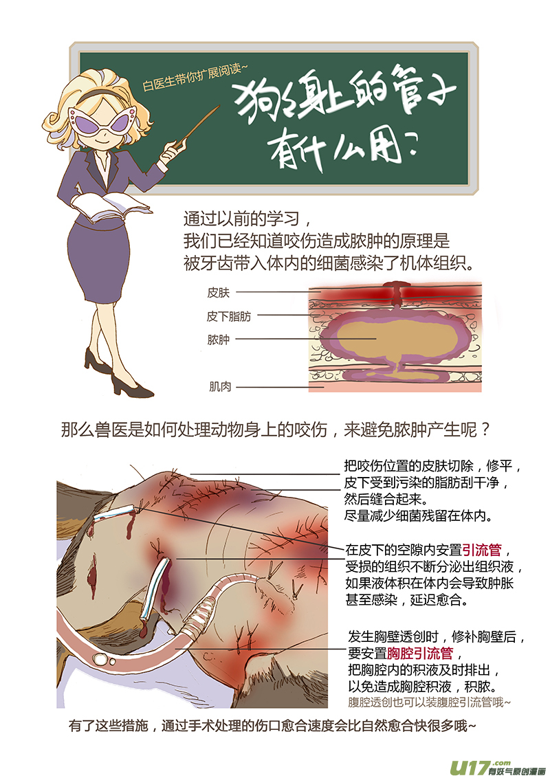 016 咬伤清创和引流管放置-第16话