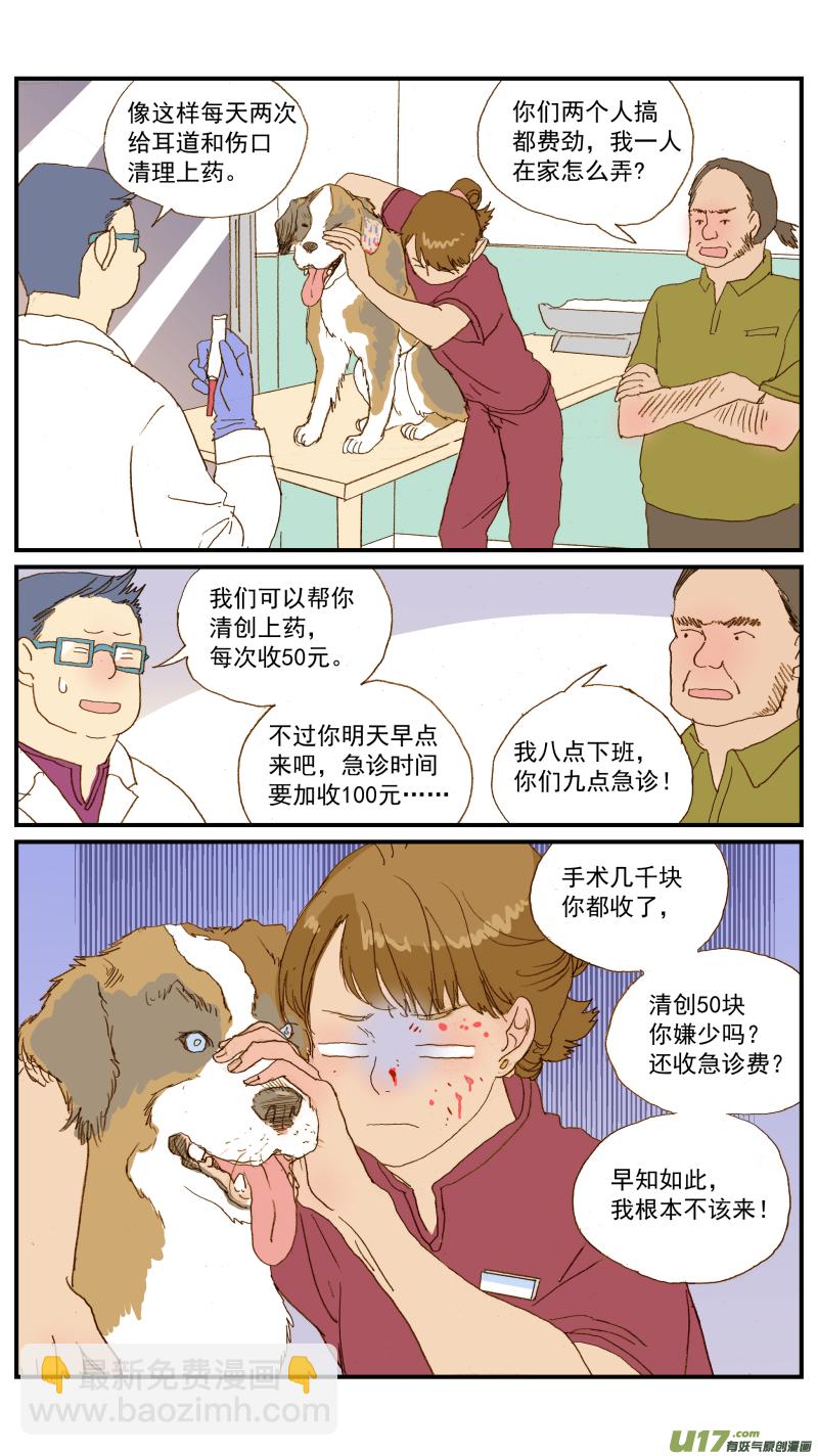 153 耳血肿的术后护理-第154话