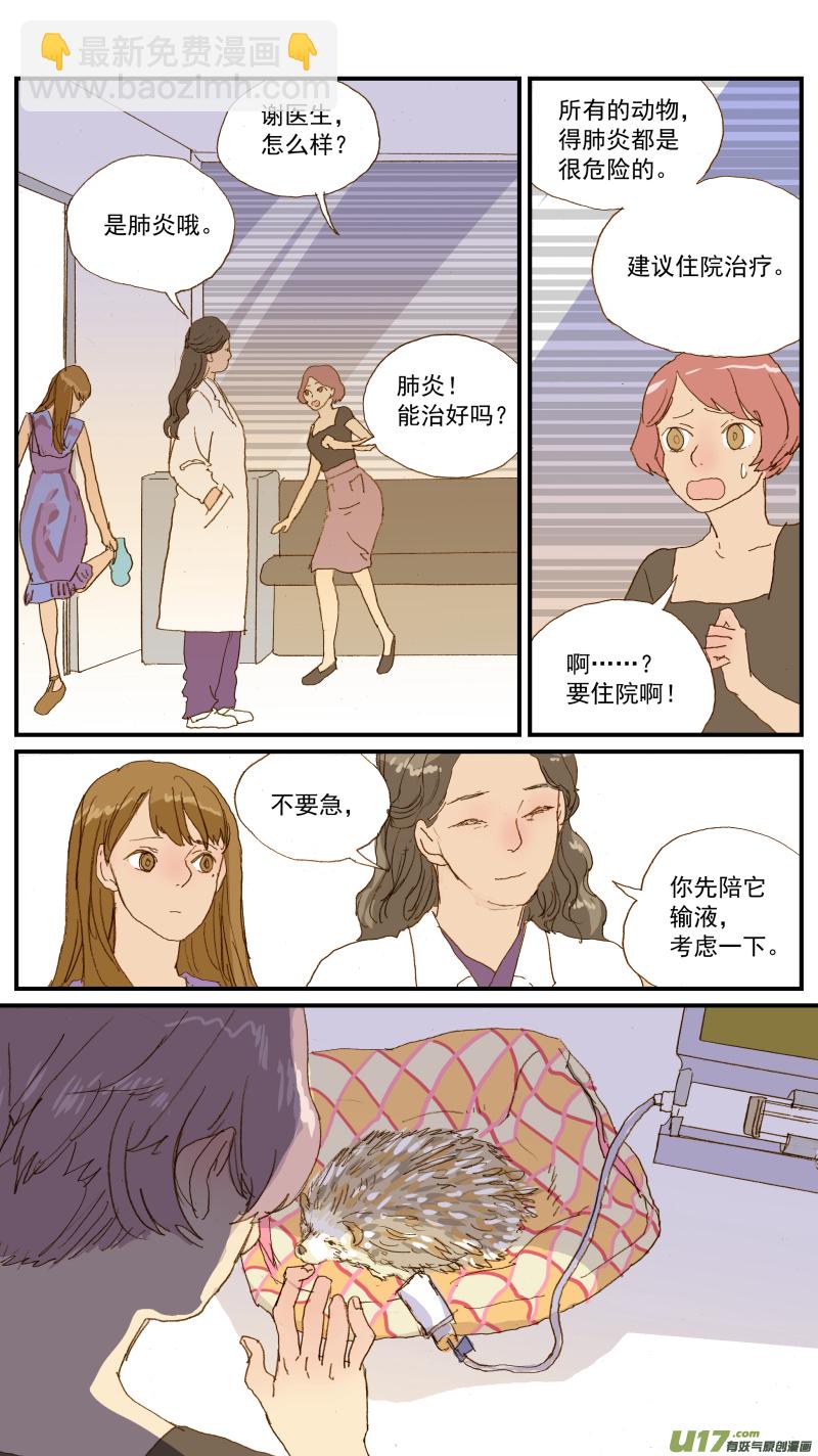 155 刺猬怎么看病-第156话