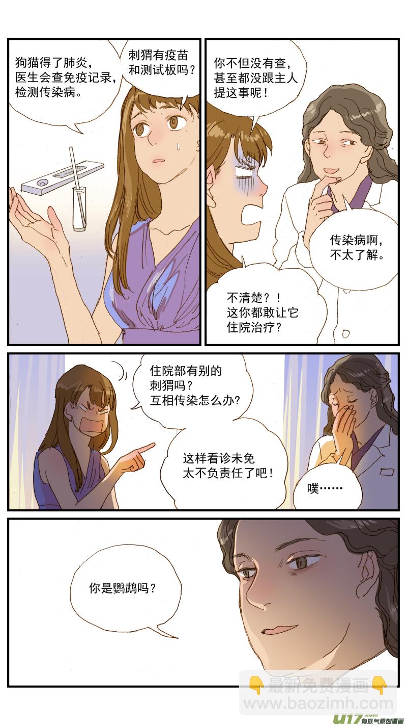 155 刺猬怎么看病-第156话