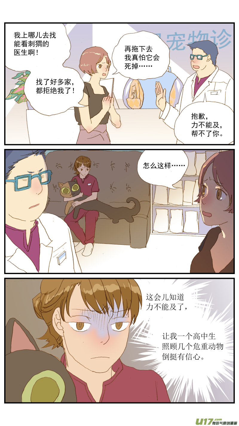 155 刺猬怎么看病-第156话