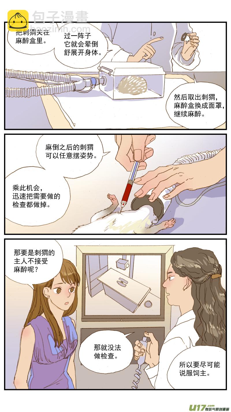 155 刺猬怎么看病-第156话