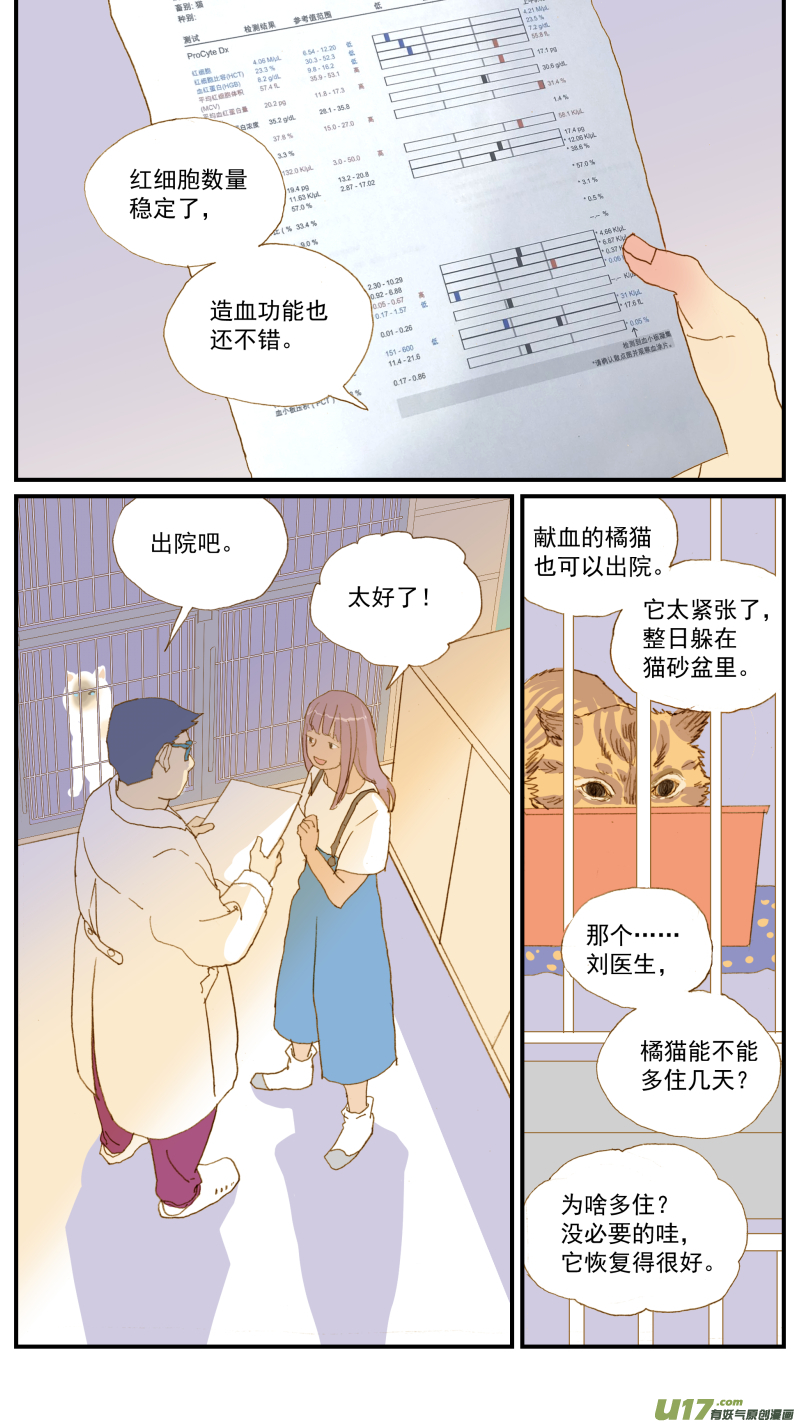 165 能不能用流浪动物给宠物献血？-第166话