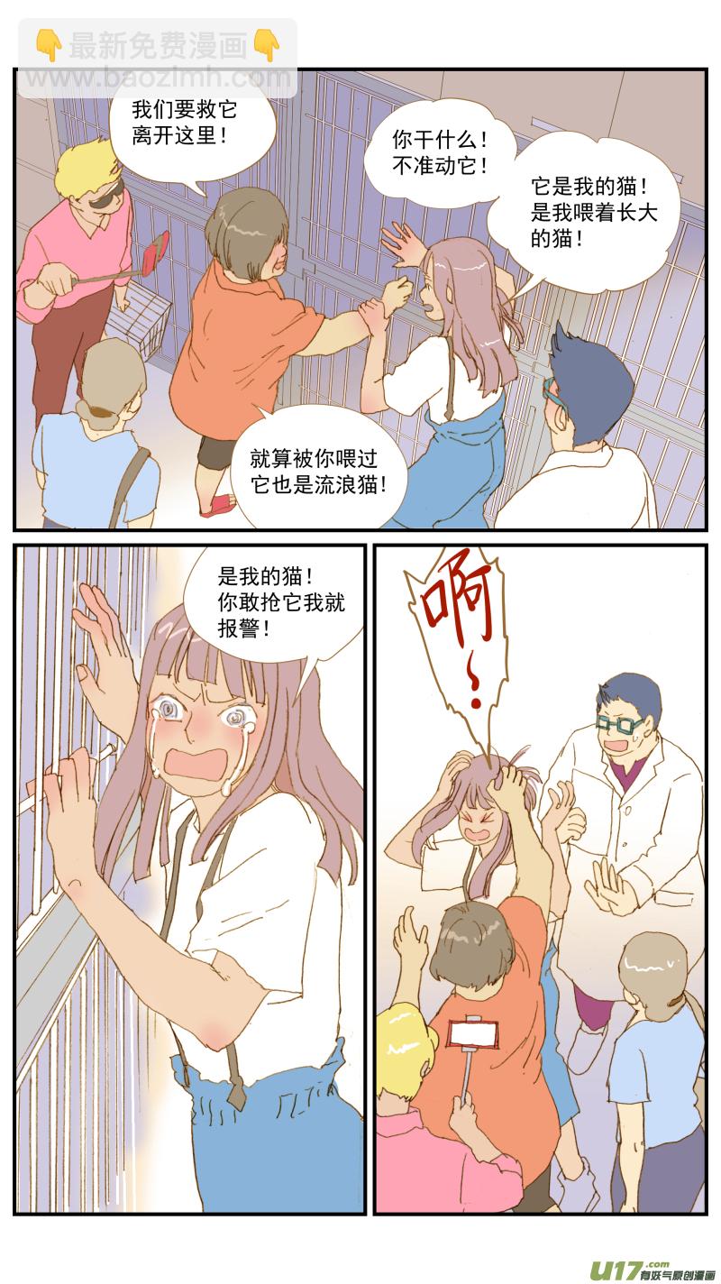 165 能不能用流浪动物给宠物献血？-第166话