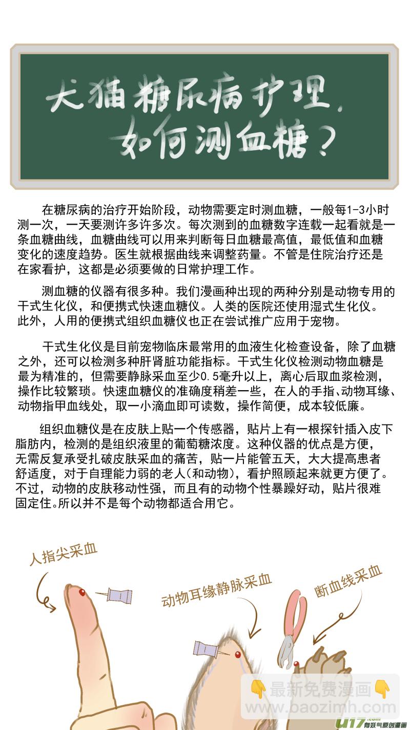 169 血糖曲线-第170话