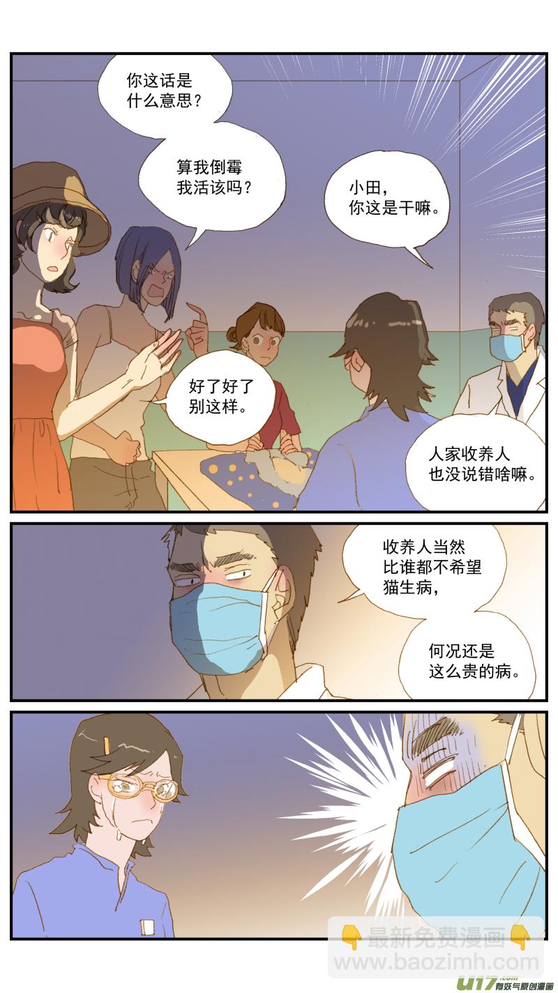 百足寵物診所 - 171 貓傳腹治療藥物 - 3