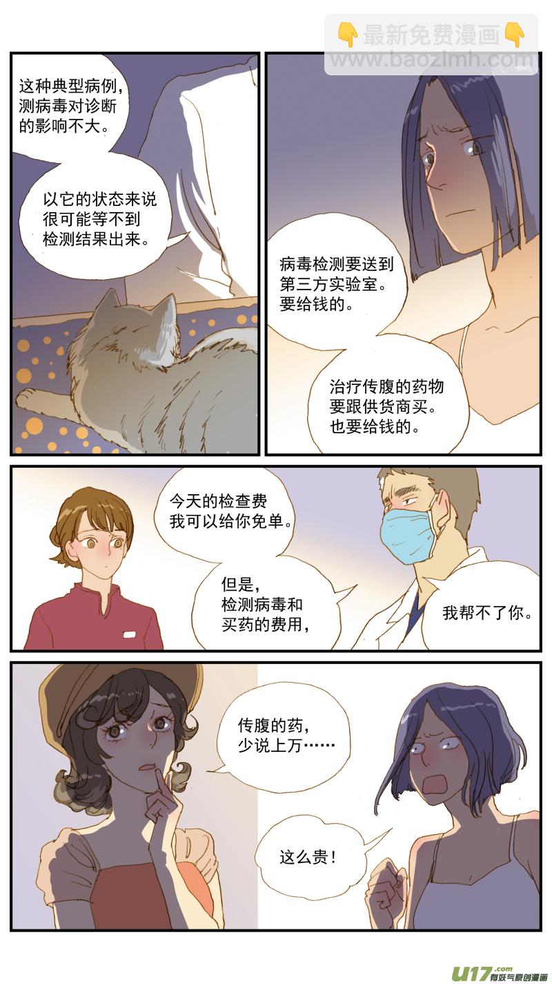 171 猫传腹治疗药物-第172话