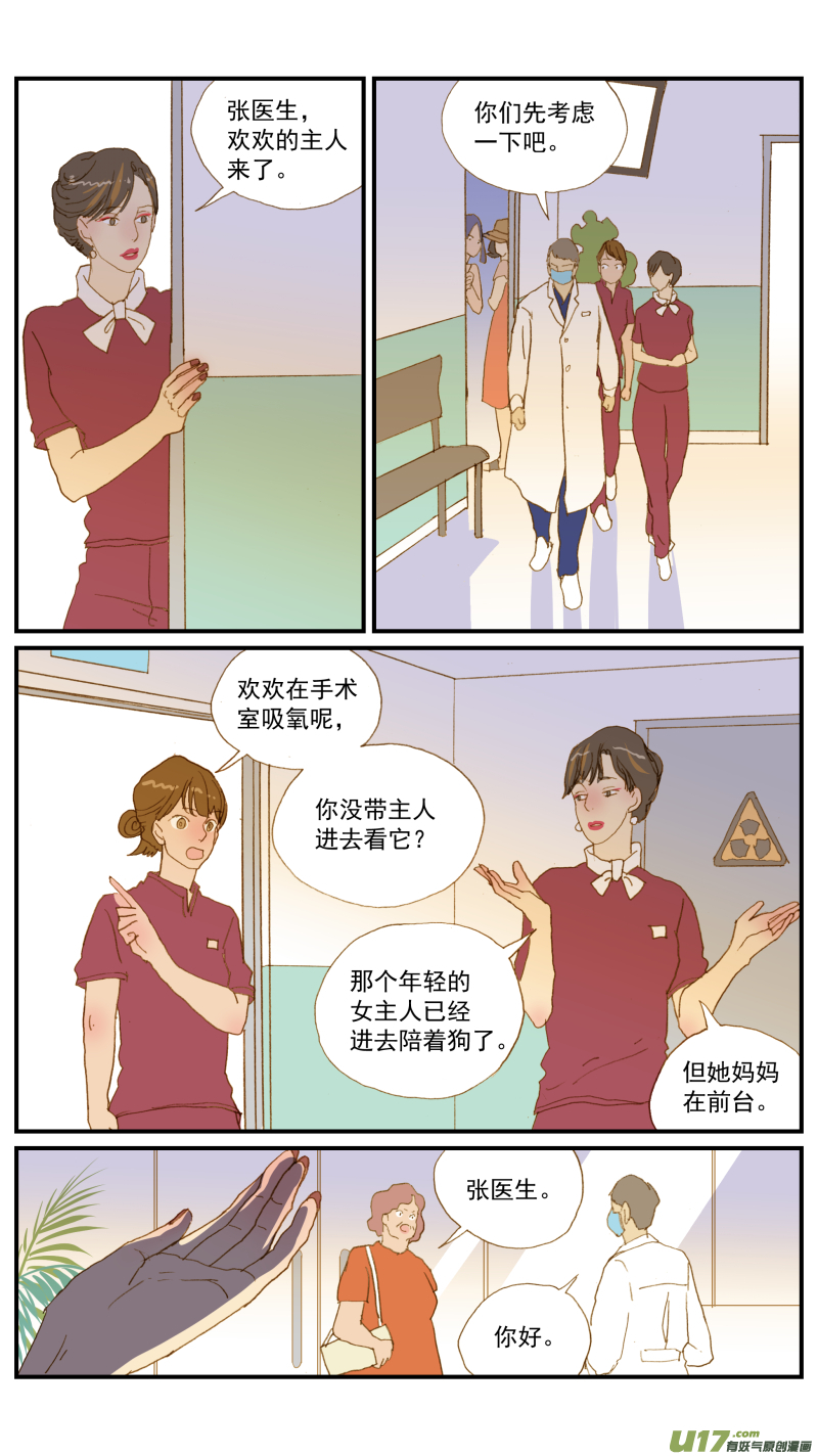 171 猫传腹治疗药物-第172话