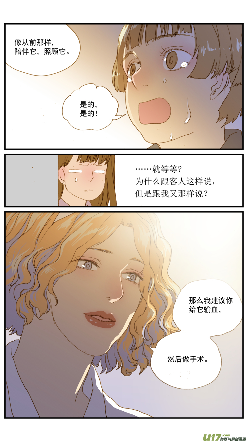 百足寵物診所 - 181 血腹 - 1