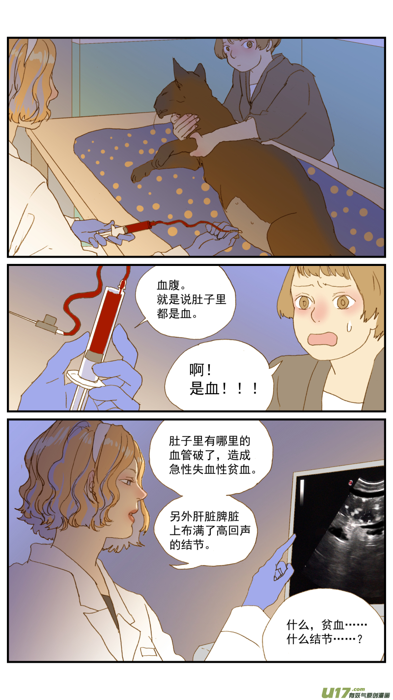 百足寵物診所 - 181 血腹 - 3