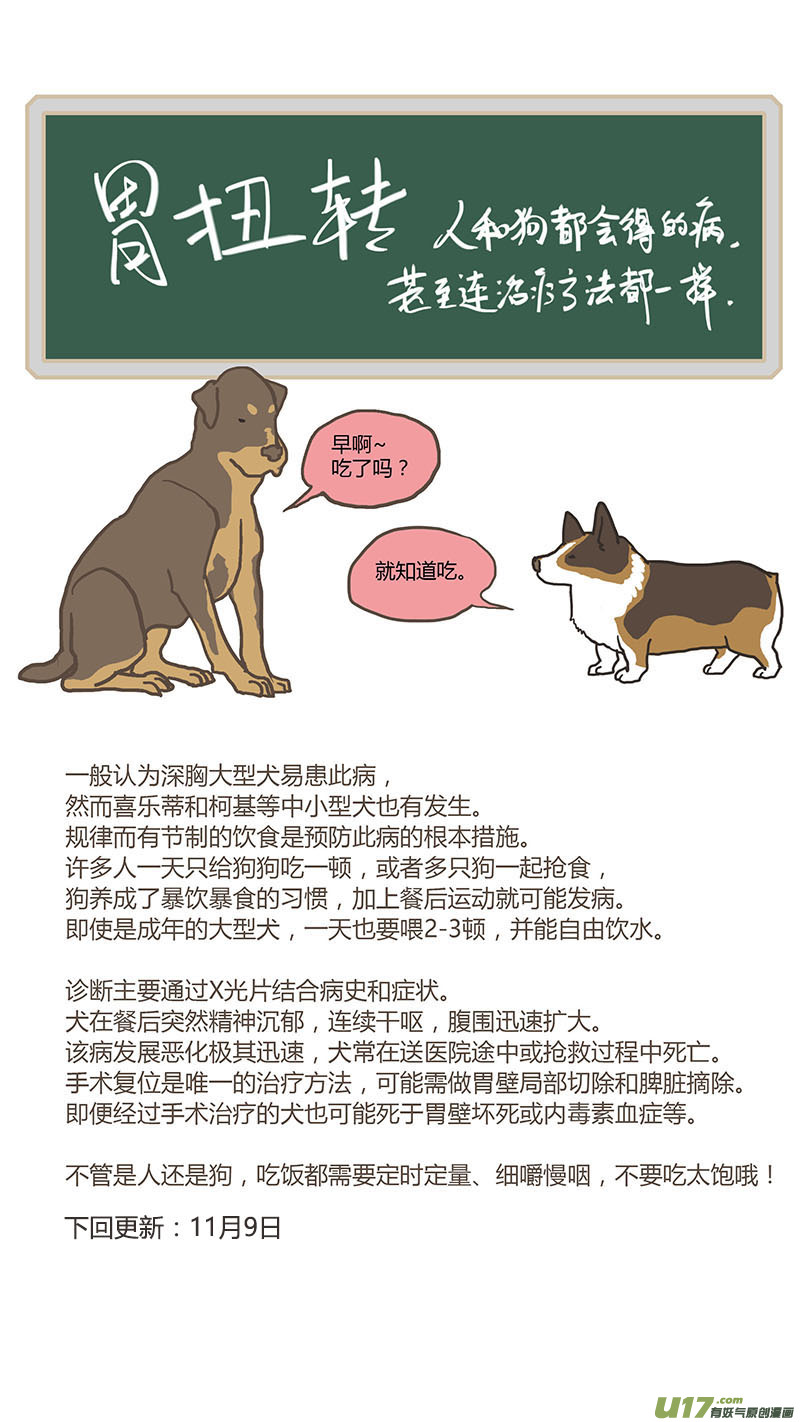 030 犬胃扭转-第30话