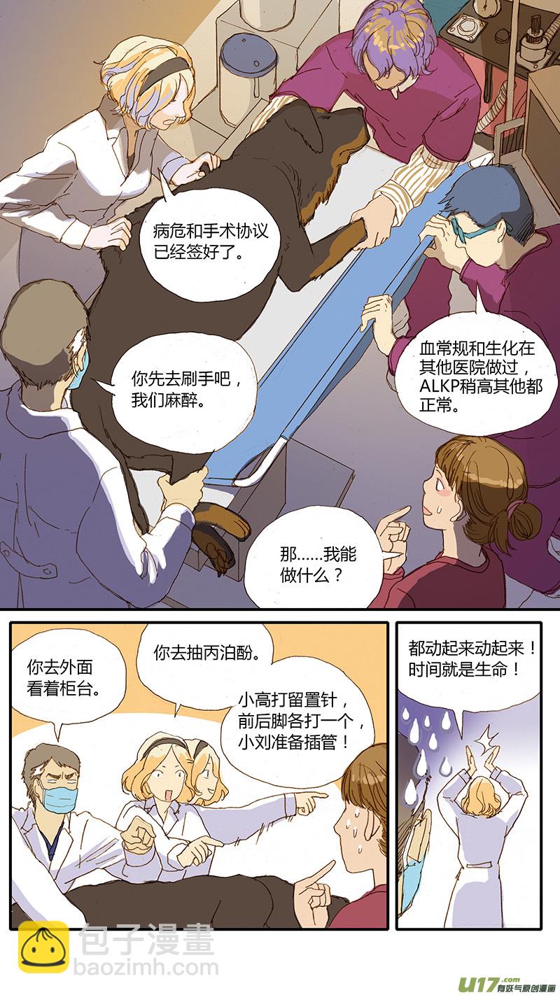 030 犬胃扭转-第30话