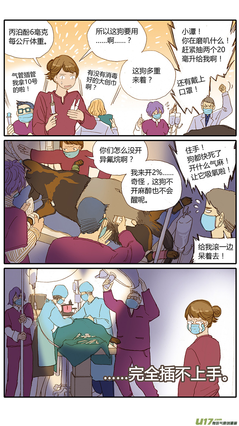 030 犬胃扭转-第30话