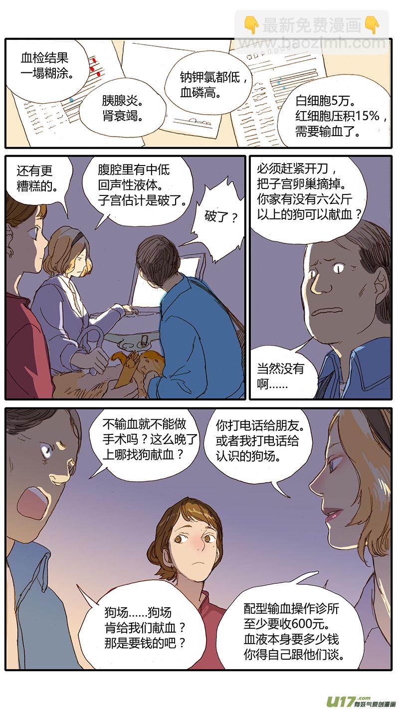 032 犬子宫蓄脓-第32话